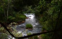 Foto de la galería: Salto Encantado, una maravilla que hay que visitar