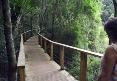 Foto de la galería: Salto Encantado, una maravilla que hay que visitar