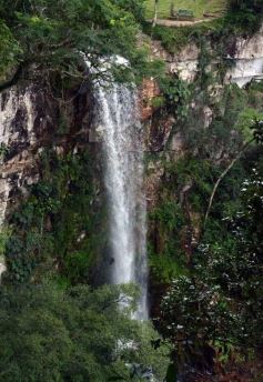 Foto de la galería: Salto Encantado, una maravilla que hay que visitar