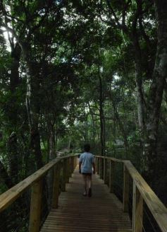Foto de la galería: Salto Encantado, una maravilla que hay que visitar