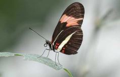 Foto de la galería: El Parque Temático de La Cruz, un lugar ideal para visitar en Semana Santa