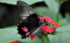 Foto de la galería: El Parque Temático de La Cruz, un lugar ideal para visitar en Semana Santa