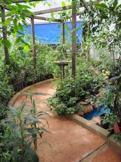 Foto de la galería: El Parque Temático de La Cruz, un lugar ideal para visitar en Semana Santa