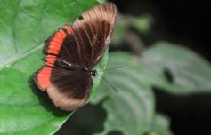 Foto de la galería: El Parque Temático de La Cruz, un lugar ideal para visitar en Semana Santa