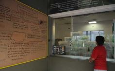 Foto de la galería: El Parque Temático de La Cruz, un lugar ideal para visitar en Semana Santa