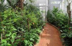 Foto de la galería: El Parque Temático de La Cruz, un lugar ideal para visitar en Semana Santa