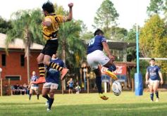 Foto de la galería: El Torneo Binacional Dos Orillas de rugby dejó dos triunfos de equipos misioneros