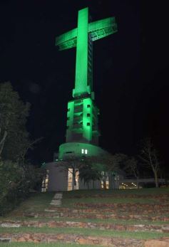 Foto de la galería: La Cruz de Santa Ana, de verde para conmemorar el Día de la Tierra