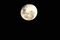 Foto de la galería: La Cruz de Santa Ana, de verde para conmemorar el Día de la Tierra