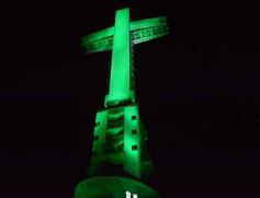 Foto de la galería: La Cruz de Santa Ana, de verde para conmemorar el Día de la Tierra