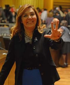 Foto de la galería: Rovira: “Somos una oposición constructiva”