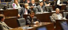Foto de la galería: La Cámara suspendió los desalojos en la chacra 187