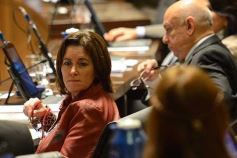 Foto de la galería: La Cámara suspendió los desalojos en la chacra 187