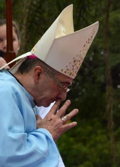 Foto de la galería: Fátima volvió a convocar a miles de fieles