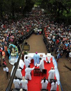 Foto de la galería: Fátima volvió a convocar a miles de fieles