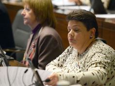 Foto de la galería: La tarifa eléctrica diferencial, eje del debate en la Legislatura