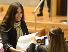 Foto de la galería: La tarifa eléctrica diferencial, eje del debate en la Legislatura