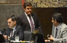 Foto de la galería: La tarifa eléctrica diferencial, eje del debate en la Legislatura