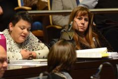 Foto de la galería: La tarifa eléctrica diferencial, eje del debate en la Legislatura