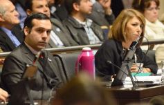 Foto de la galería: La tarifa eléctrica diferencial, eje del debate en la Legislatura