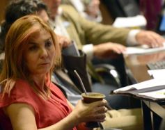 Foto de la galería: La tarifa eléctrica diferencial, eje del debate en la Legislatura
