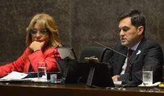 Foto de la galería: La tarifa eléctrica diferencial, eje del debate en la Legislatura