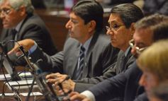 Foto de la galería: Preservarán la base genética de animales nativos y organismos no vegetales