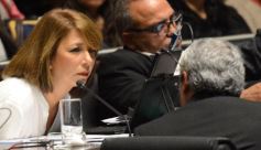 Foto de la galería: Preservarán la base genética de animales nativos y organismos no vegetales