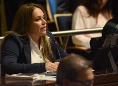 Foto de la galería: Preservarán la base genética de animales nativos y organismos no vegetales