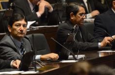 Foto de la galería: Preservarán la base genética de animales nativos y organismos no vegetales