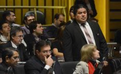 Foto de la galería: Preservarán la base genética de animales nativos y organismos no vegetales