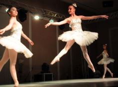 Foto de la galería: Iguazú en Concierto en el Casino, una maravilla