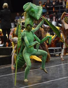 Foto de la galería: Ensayo general de lujo con los talentosos concertistas en el polideportivo de Iguazú