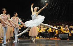 Foto de la galería: Ensayo general de lujo con los talentosos concertistas en el polideportivo de Iguazú