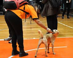 Foto de la galería: Ensayo general de lujo con los talentosos concertistas en el polideportivo de Iguazú