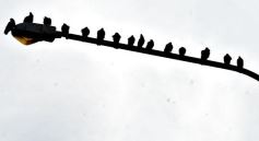 Foto de la galería: La buena onda, una constante por los lugares de Posadas que visitamos