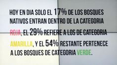 Foto de la galería: Las boletas de servicios e impuestos contendrán información para prevenir enfermedades