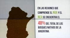 Foto de la galería: Las boletas de servicios e impuestos contendrán información para prevenir enfermedades