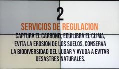 Foto de la galería: Las boletas de servicios e impuestos contendrán información para prevenir enfermedades