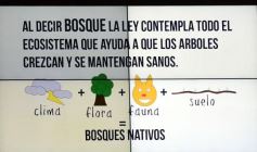 Foto de la galería: Las boletas de servicios e impuestos contendrán información para prevenir enfermedades