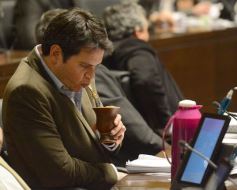 Foto de la galería: Cambios en la Ley de Ministerios y agasajo a la prensa en la Legislatura