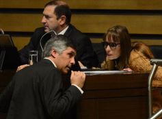 Foto de la galería: Cambios en la Ley de Ministerios y agasajo a la prensa en la Legislatura