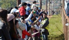 Foto de la galería: Lo que dejó el TC en Posadas: postales inolvidables