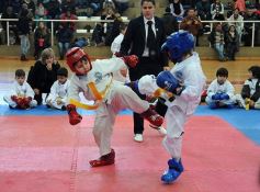 Foto de la galería: Taekwondo: los niños coparon el CePARD