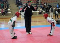 Foto de la galería: Taekwondo: los niños coparon el CePARD