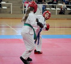 Foto de la galería: Taekwondo: los niños coparon el CePARD
