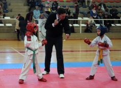 Foto de la galería: Taekwondo: los niños coparon el CePARD