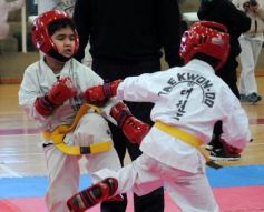 Foto de la galería: Taekwondo: los niños coparon el CePARD
