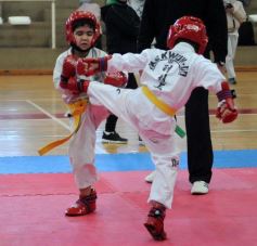Foto de la galería: Taekwondo: los niños coparon el CePARD