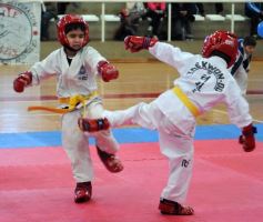 Foto de la galería: Taekwondo: los niños coparon el CePARD